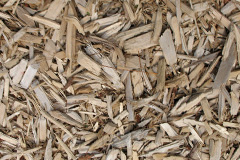 biomass boilers Greystonegill